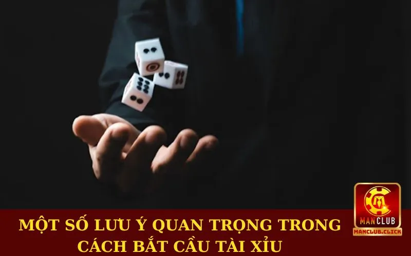 cach-bat-cau-tai-xiu-luu-y Cách Bắt Cầu Tài Xỉu - Hướng Dẫn Từ A Đến Z Cho Người Chơi