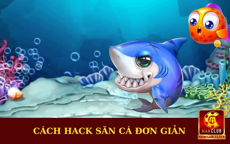 cach-hack-san-ca-cuc-don-gian-de-hieu Hack Bắn Cá - Khám Phá Những Phương Pháp Siêu Thú Vị