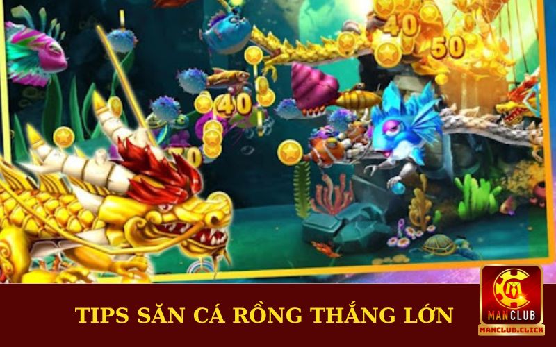 kinh-nghiem-san-ca-rong-tu-chuyen-gia Bắn Cá Rồng - Tựa Game Giải Trí Với Tỷ Lệ Đổi Thưởng Cực Cao